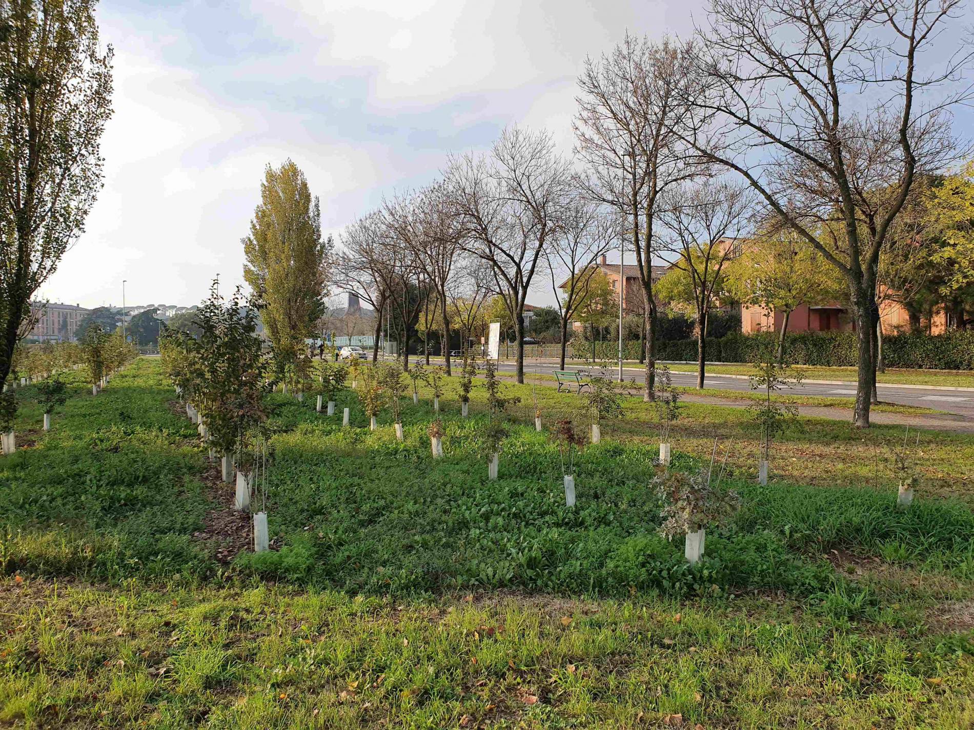 Stati-Generali-Verde-pubblico-comune-Imola