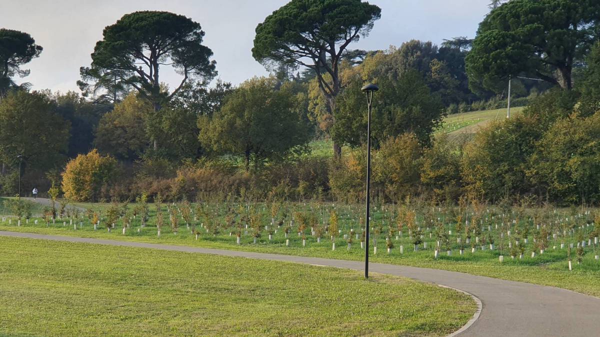 Stati-Generali-Verde-pubblico-comune-Imola