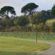 Stati-Generali-Verde-pubblico-comune-Imola