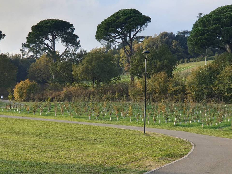 Stati-Generali-Verde-pubblico-comune-Imola