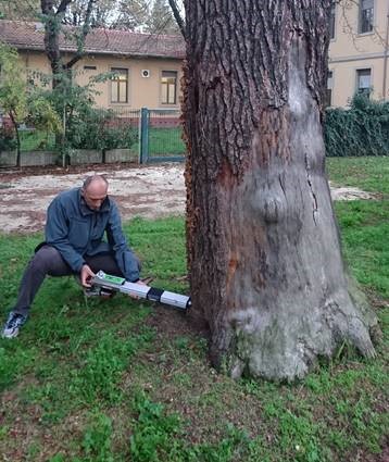 censimento-verde-pubblico-imola